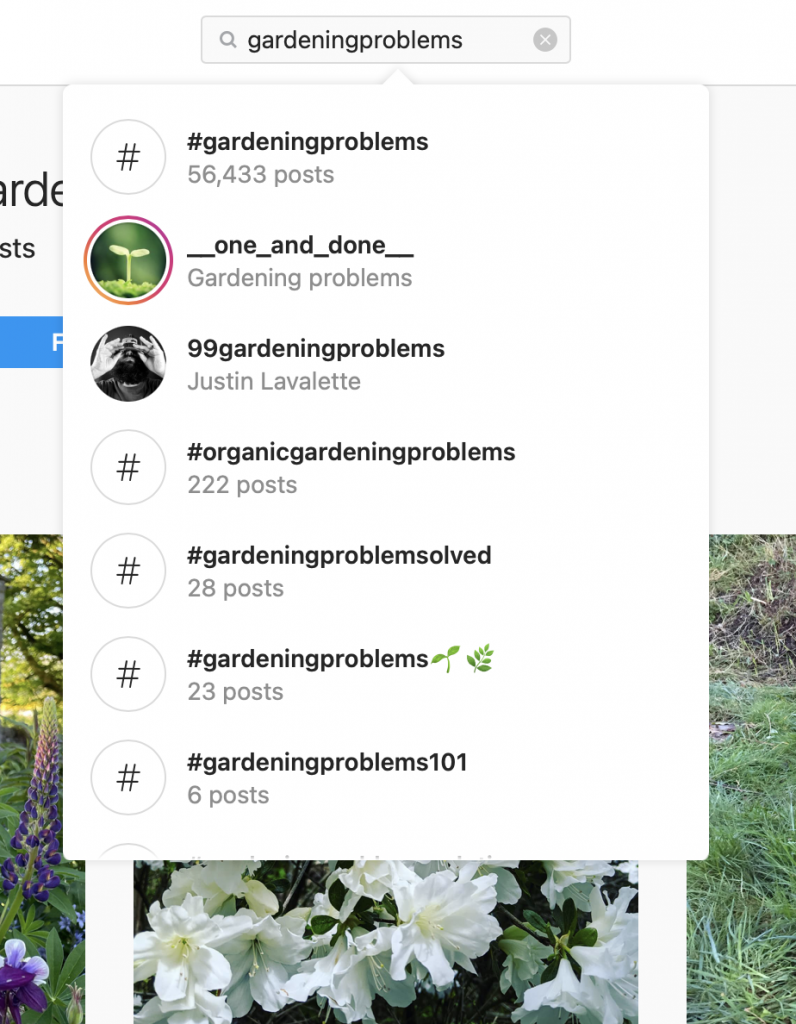 #gardeningproblems in the search bar of Instagram